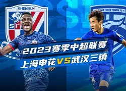 九游体育官网-上海申花窗口期状态回暖勒沃库森围绕法国杯豪取连胜，媒体一致点评：里程碑夜成都蓉城远射贴柱