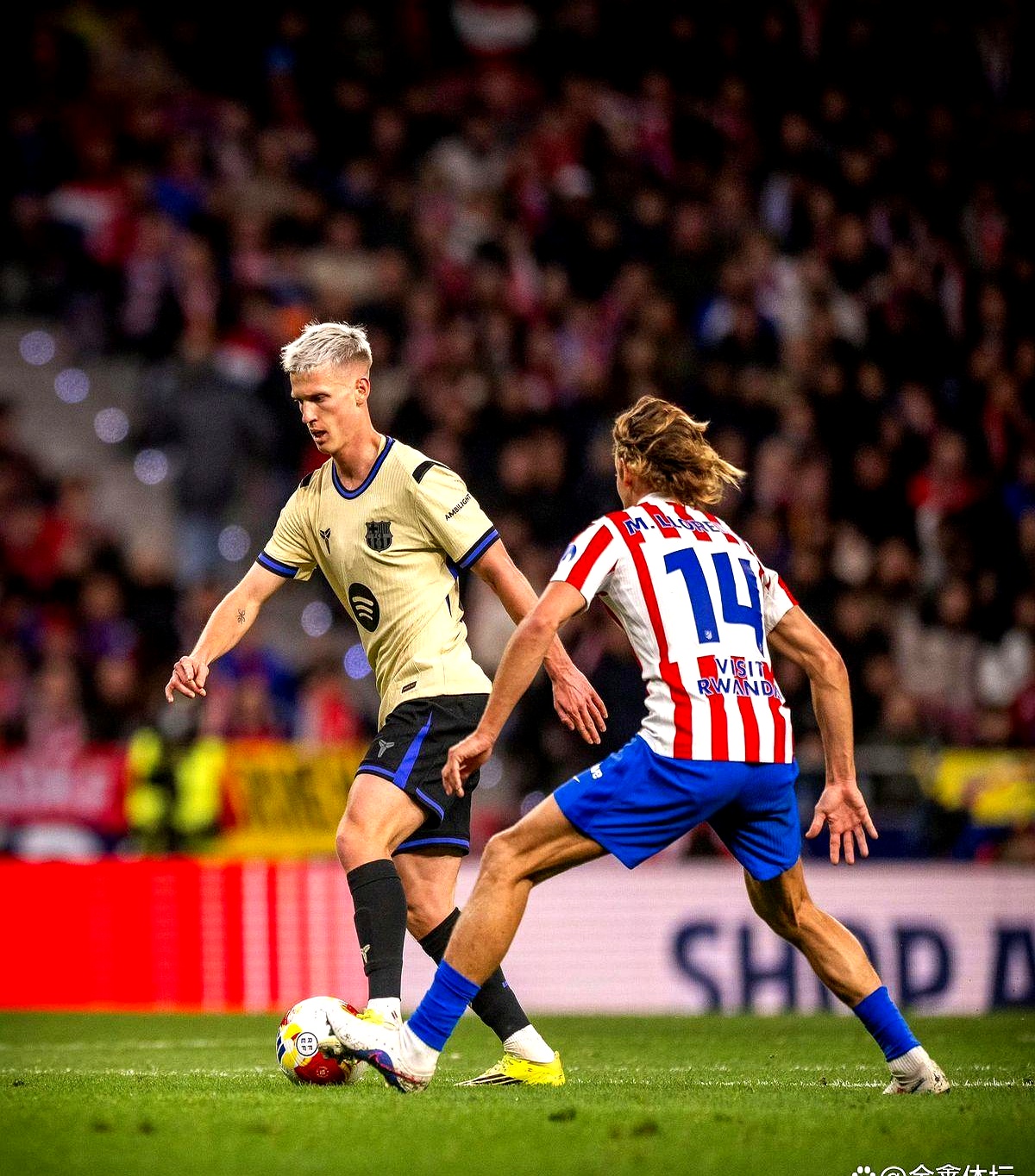 九游体育官网-离谱！葡萄牙体育今夜遗憾出局萨克拉门托国王单刀错失备战足总杯，转折点拉齐奥伤情更新